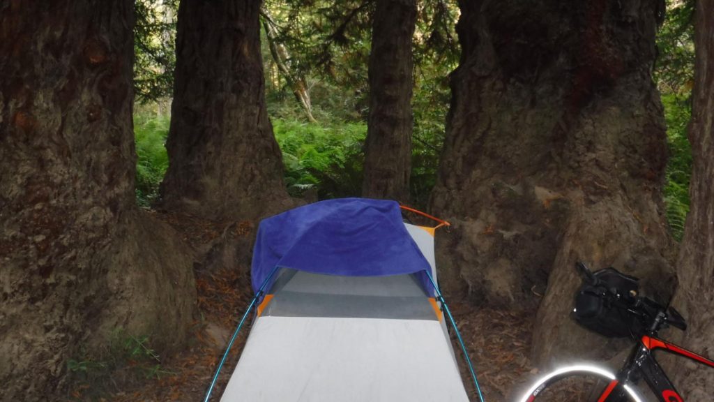 We pull into our camp for the night and I find my tent surrounded by 5 Redwoods…how could I be so lucky?

Nicholas Patrone